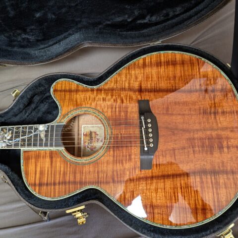 Takamine DMP50TH